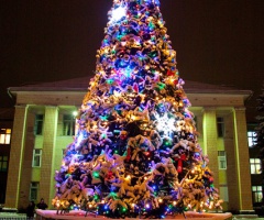 Як відкривали ялинку у Світловодську? ВІДЕО