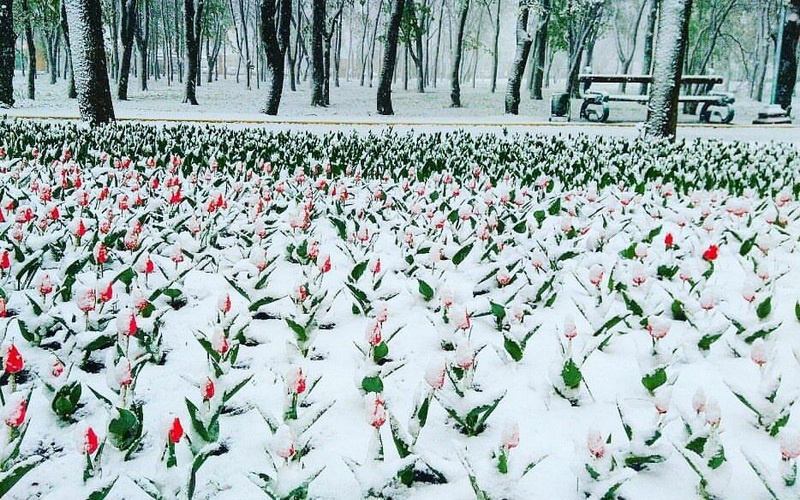 Кропивницький, Кіровоградщина, Дендропарк, люди, Україна