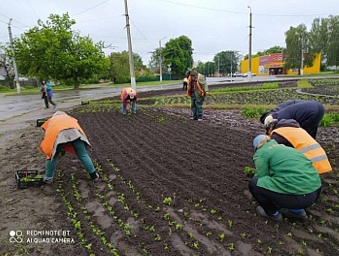 Кропивницький, комунальники, погодні умови, благоустрій території